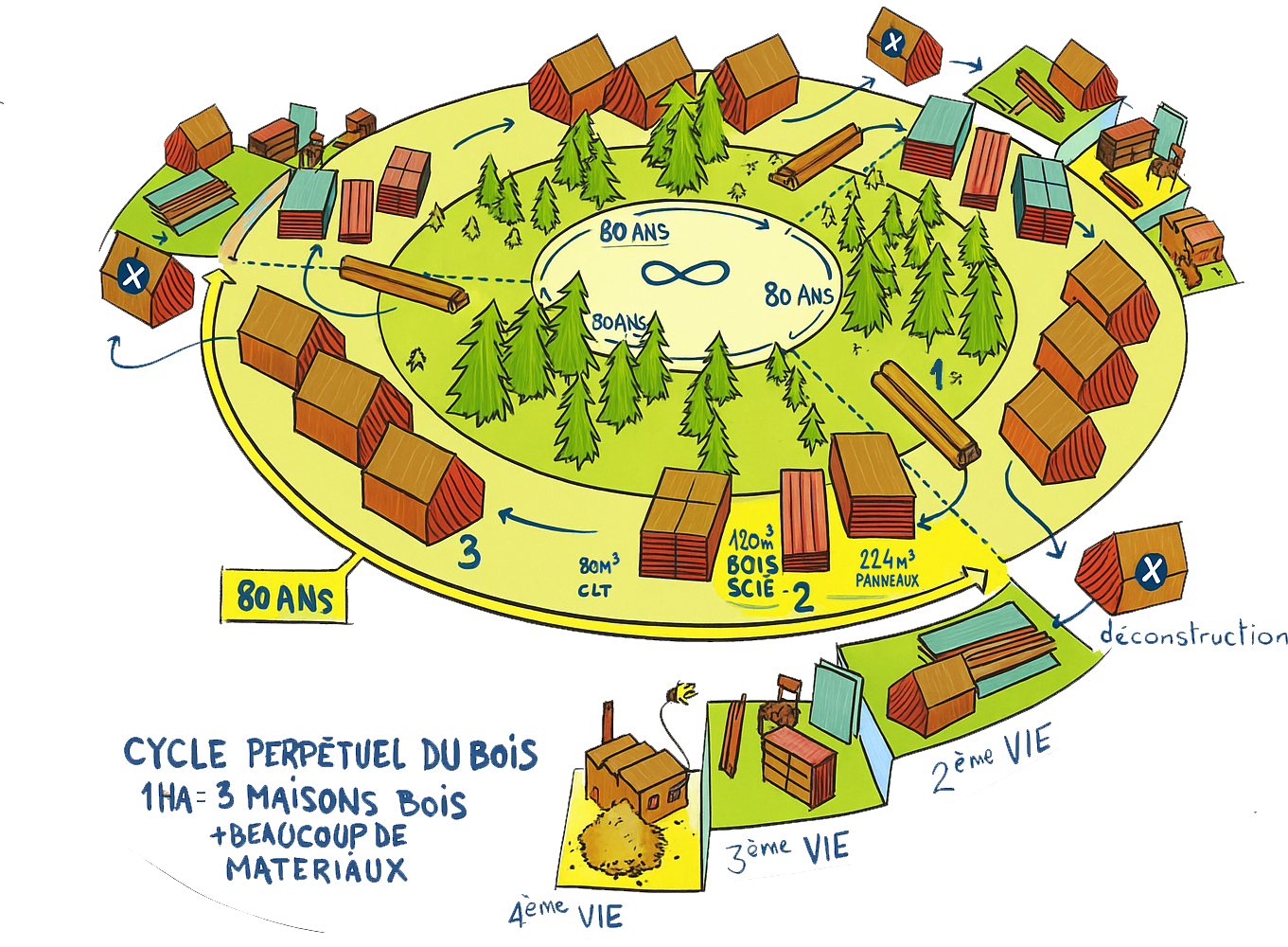 Cycle du Bois